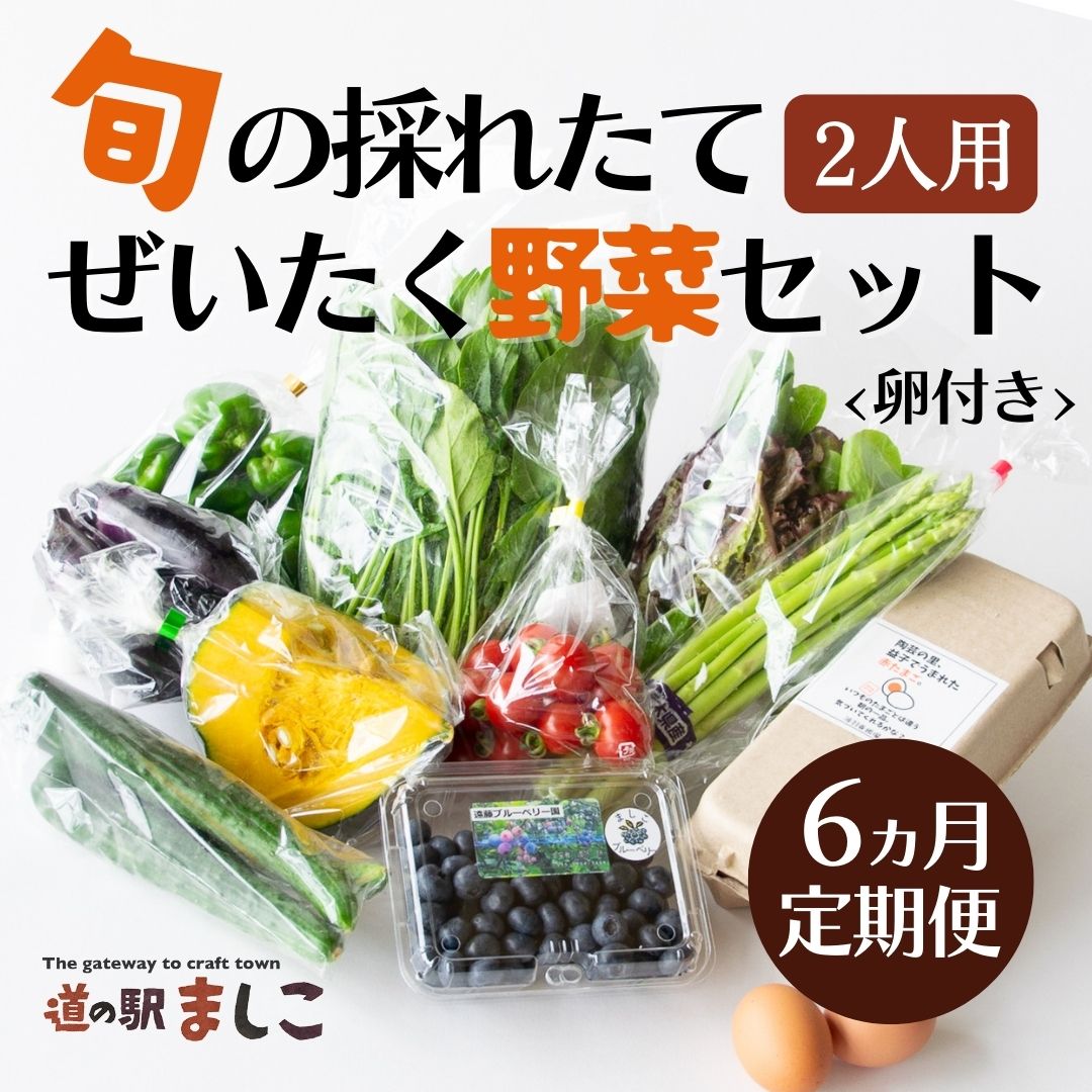 【ふるさと納税】＜6ヶ月定期便＞旬の採れたてぜいたく野菜セット（卵付き）2人用 益子町 ふるさと納税 野菜セット 野菜 やさい セット 採れたて 卵 たまご 定期便(AA034)