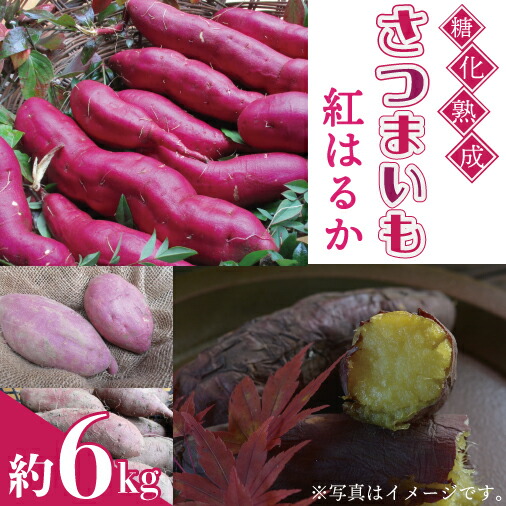 【ふるさと納税】糖化熟成 さつまいも (紅はるか) 約6kg (AU001-2)