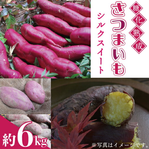 【ふるさと納税】糖化熟成 さつまいも (シルクスイート) 約6kg (AU001-3)