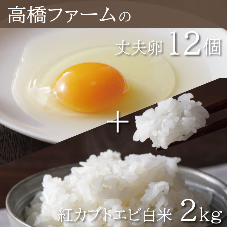 【ふるさと納税】高橋ファームの丈夫卵12個＋紅カブトエビ白米2kg(AQ006)｜栃木県益子町
