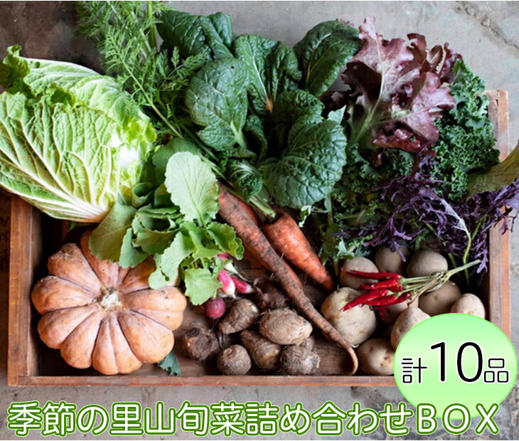 【ふるさと納税】わたね　季節の里山旬菜詰め合わせＢＯＸ（計１０品）<br>≪ギフト セット 野菜 無農薬 グルメ≫<br>※着日指定不可