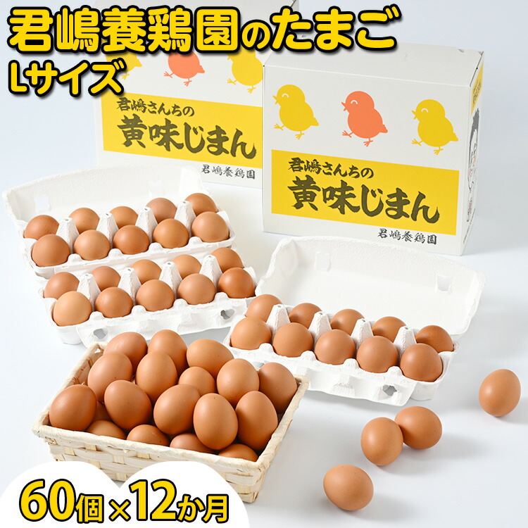 【ふるさと納税】【12か月定期便】君嶋養鶏園のたまご Lサイズ 60個（55個＋割れ補償5個）×12ヶ月 計720個  | 定期便 12ヶ月 12か月 12ヵ月 卵 玉子 たまご 赤卵 赤たまご 生卵 国産 濃厚 鶏卵 コク 旨味