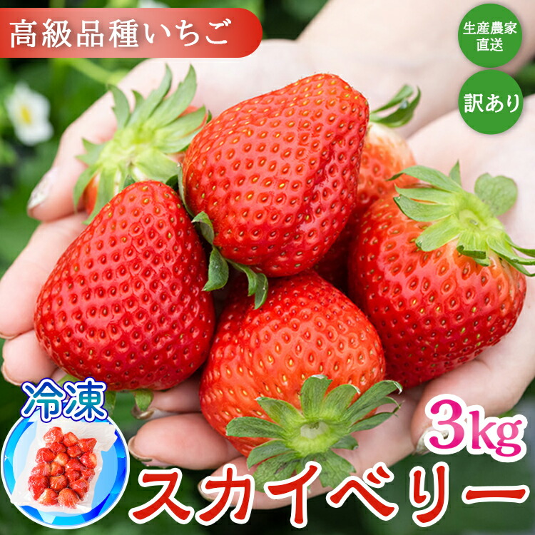 【ふるさと納税】【訳あり】冷凍スカイベリー3kg (500g×6)  | 生産者直送 高級品種 無選別訳あり 冷凍 いちご 栃木県壬生町産 果物 フルーツ 苺 イチゴ スムージー ジャム 不揃い