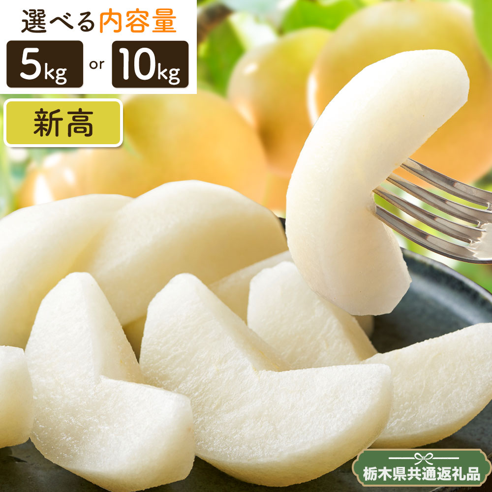 【ふるさと納税】先行予約 N07 梨 なし 新高梨 5kg or 10kgフルーツ 矢畑むらづくり組合《9月中旬-9月末頃出荷》 栃木県【栃木県共通返礼品　栃木県産】【配送不可地域あり】