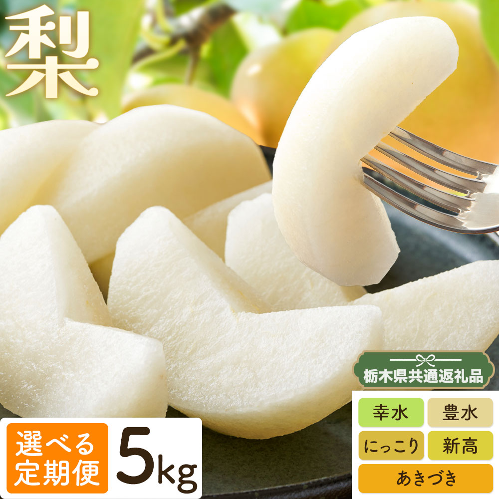 【ふるさと納税】梨 定期便 5kg 計2回 計3回 計5回 矢畑むらづくり組合《出荷時期をお選びください》栃木県 野木町 お楽しみ フルーツ 先行予約 食べ比べ 幸水梨 豊水梨 にっこり梨 新高梨 あきづき 栃木産 果物【栃木県共通返礼品 栃木県産】【配送不可地域あり】(離島)|栃木県野木町