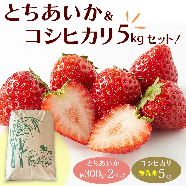 【ふるさと納税】とちあいか（約300g×2パック）＆令和7年産無洗米コシヒカリ5kgセット！｜いちご とちあいか 米 | お米 白米 米 こめ コメ 5キロ 尚仁沢湧水 栃木県 塩谷町 ※2026年2月中旬～4月下旬頃に順次発送予定