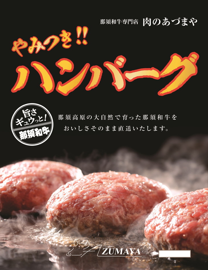 楽天市場】【ふるさと納税】やみつきハンバーグ（3個入） 合挽肉 国産 真空包装 冷凍 那須町 〔P-57〕 : 栃木県那須町