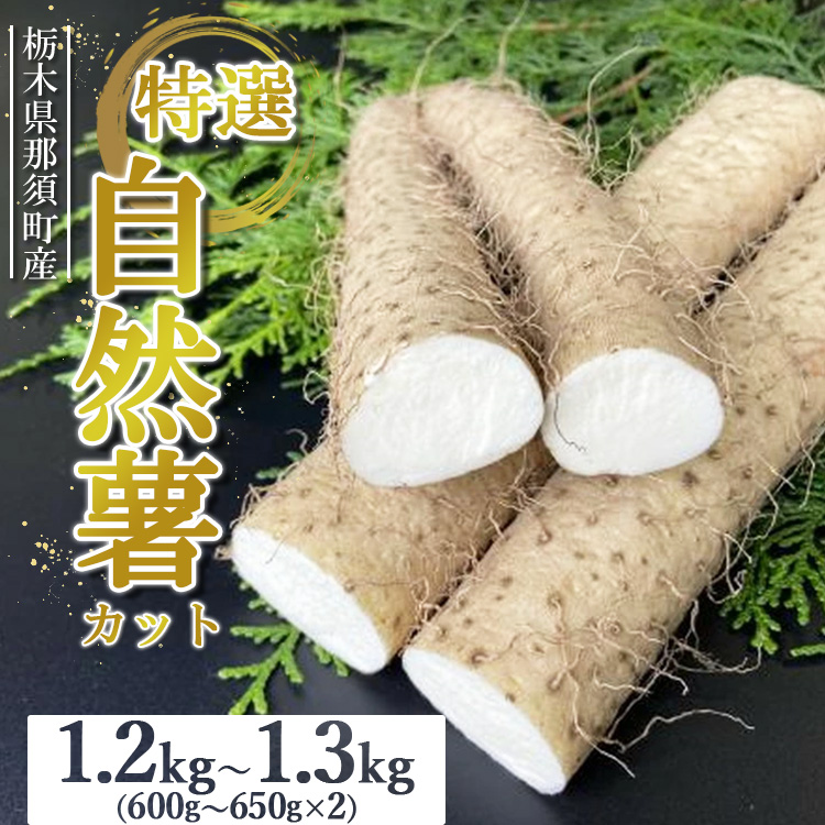 【ふるさと納税】那須町産 自然薯（カット）1.2kg～1.3kg ｜カット お土産 贈り物 ご自宅用 とろろ とろろご飯 山芋 健康 国産 産地直送 那須 栃木県 那須町〔P-152〕