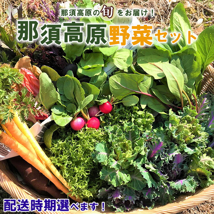 【ふるさと納税】【配送月が選べる】那須ブランド 那須高原野菜セット ｜ 野菜 お野菜 新鮮 詰め合わせ やさい みずみずしい 美味しい 自然 栃木県 那須町〔B-80〕 ※北海道・沖縄・離島への配送不可 ※2025年11月上旬～2026年10月下旬頃に順次発送予定 7,700円