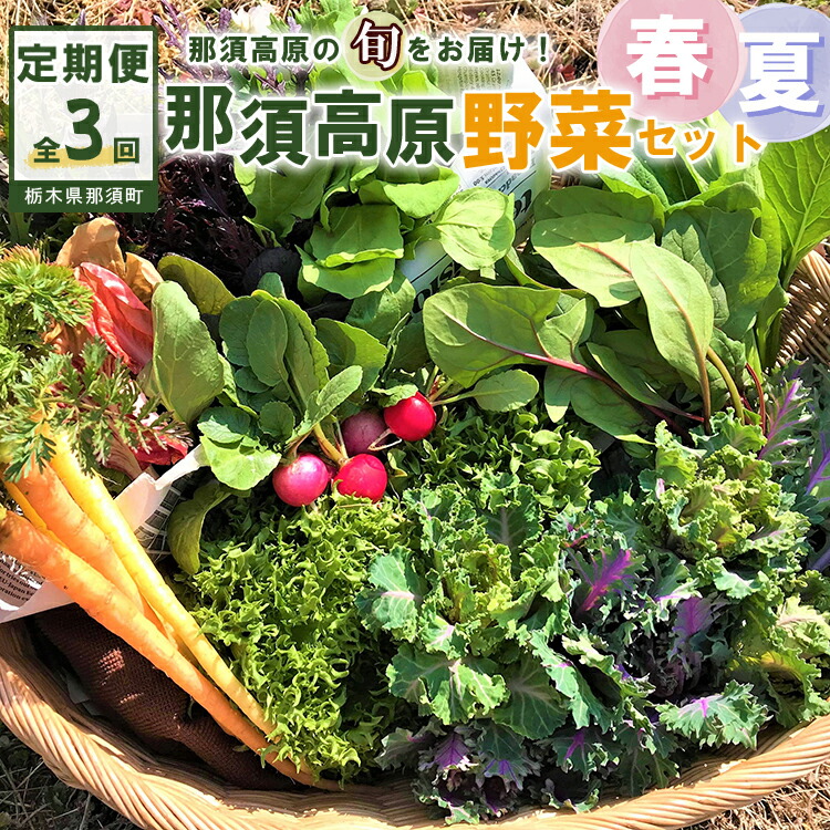 原画　夏野菜3枚セット 楽天市場】【ふるさと納税】【全4回定期便】那須ブランド 那須高原野菜