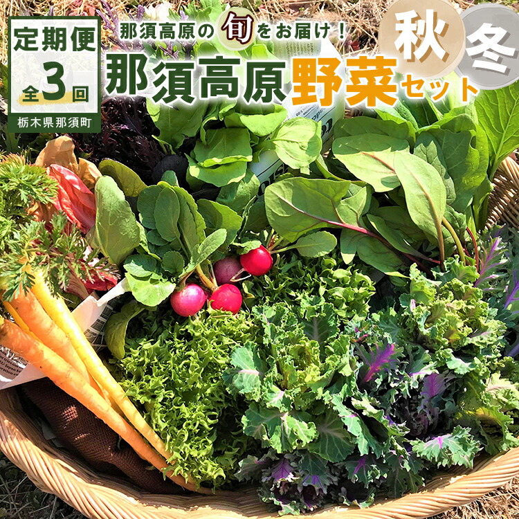 楽天市場】【ふるさと納税】【全4回定期便】那須ブランド 那須高原野菜