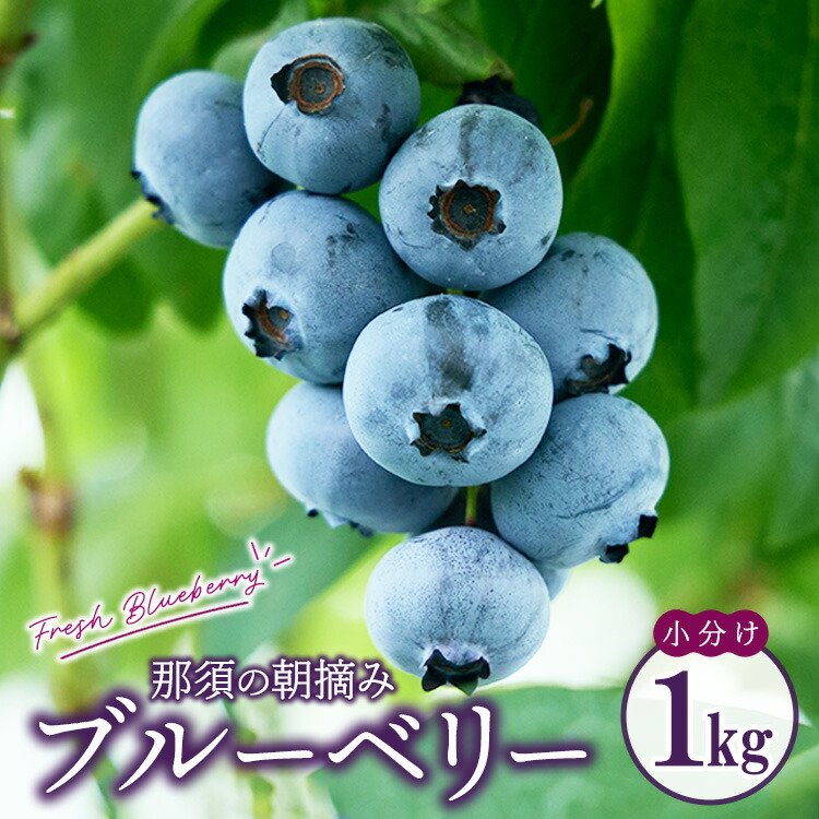 【ふるさと納税】【先行予約】那須町生ブルーベリー1kg（250g×4パック） 限定100個〔P-345〕 ※2025年6月上旬～7月下旬頃に順次発送予定 ※北海道・沖縄・離島への配送不可