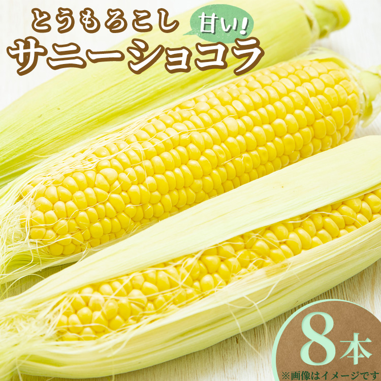 【ふるさと納税】【先行受付】とうもろこし サニーショコラ 8本〔B-101〕 ｜ トウモロコシ コーン 先行予約 数量 限定 生 甘い 野菜 やさい 那須 栃木県 那須町　※2025年8月上旬頃より順次発送予定