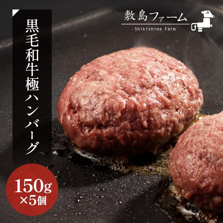 【ふるさと納税】那須高原 敷島和牛手作りハンバーグ(150g×5個)計750g 小分け ハンバーグ 肉 お肉 牛肉 国産 黒毛和牛 冷凍 栃木県 那須町《敷島ファーム》〔B-82〕 ※着日指定不可 ※北海道・沖縄・離島への配送不可