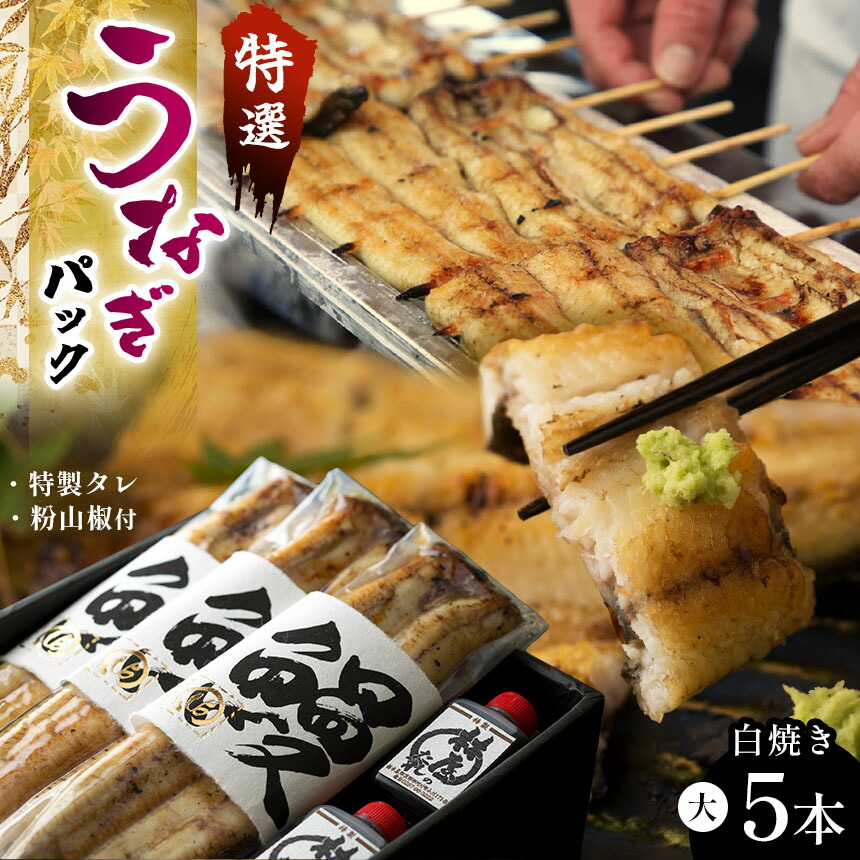 【ふるさと納税】 特選うなぎパック５本セット タレ、粉山椒付 | 特選うなぎ 贅沢うなぎ 5本セット 高級うなぎ 肉厚 炭火焼うなぎ 贅沢 肉厚うなぎ蒲焼特選 炭火焼うなぎ ギフト ふるさと納税 栃木県 那珂川町 送料無料
