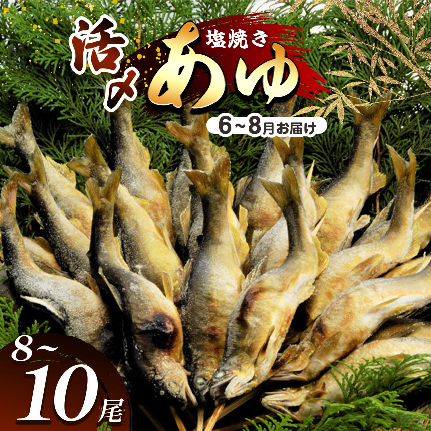 【ふるさと納税】 【2026年先行予約】【6月～8月旬の鮎をお届け】活〆鮎塩焼き 発送日当日 池上げした活鮎を焼いてお届け | 活〆鮎塩 新鮮活鮎塩焼き 池上げ活〆鮎 6月～8月 活〆鮎 塩焼き発送 活鮎 塩焼き 直送 旬 ギフト ふるさと納税 栃木県 那珂川町 送料無料 10,640円