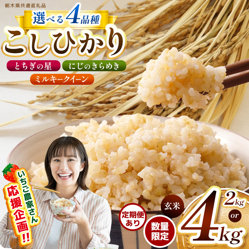 楽天市場】【ふるさと納税】令和7年産 茨城県産 ミルキー