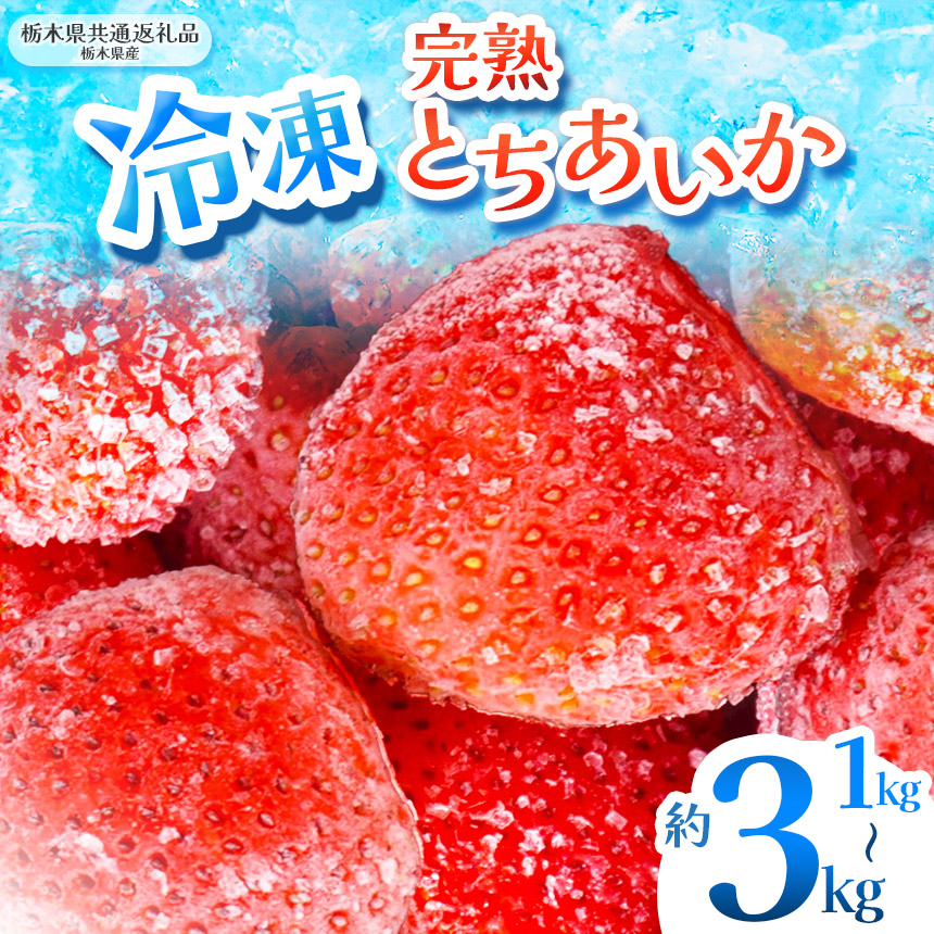 【ふるさと納税】【栃木県共通返礼品】完熟冷凍とちあいか 1kg 2kg 3kg  |  選べるグラム数いちご とちあいか 冷凍 冷凍イチゴ スイーツ ジャム スムージー たっぷり 大粒 甘い 美味しい 果物 デザート 栃木県 那珂川町 送料無料