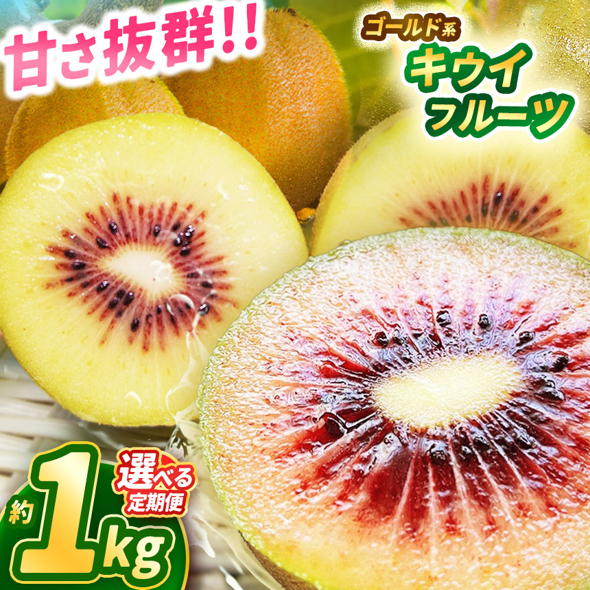 【2025年先行予約】【ふるさと納税】甘さ抜群のゴールド系 キウイフルーツ 1kg | 果物 くだもの フルーツ 野菜 やさい ヤサイ キウイ きうい ゴールドキウイ ごーるどきうい 新鮮 フレッシュ 甘い 美味しい フルーツ デザート 栃木県 那珂川町 送料無料
