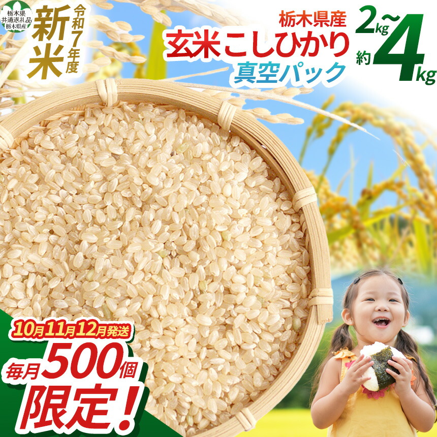 【ふるさと納税】【令和7年度新米先行予約】【毎月500個限定！】【栃木県共通返礼品】 栃木県産こしひかり 2kg 2kg×2（玄米真空パック） | 先行予約 限定 新米 しんまい こしひかり コシヒカリ 玄米 米 こめ コメ ごはん ふるさと納税 那珂川町 栃木県