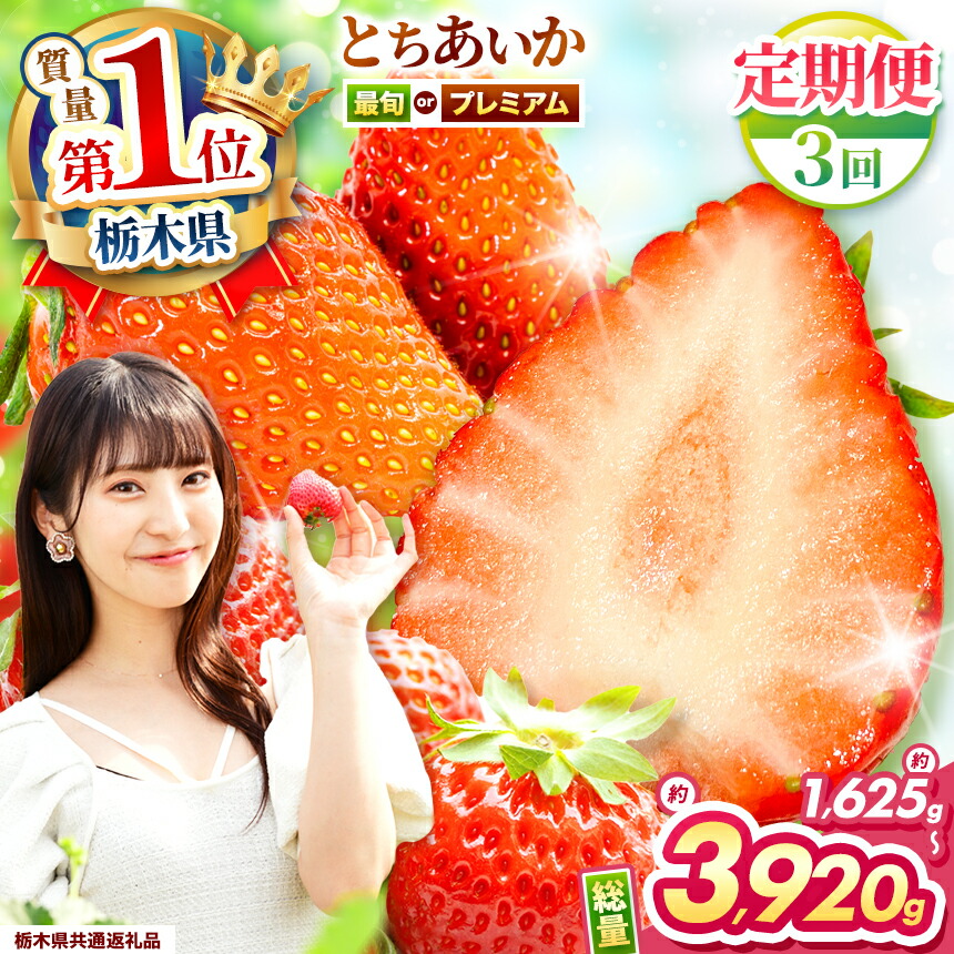 【栃木県共通返礼品】【ふるさと納税】【先行予約】【選べる品種・定期便】プレミアムとちあいか　最旬とちあいか | 定期便 いちごいちご とちあいか 大粒 新鮮 甘い 食べ比べ 数量 限定 美味しい 果物 共通返礼品 フルーツ デザート 栃木県 那珂川町 送料無料