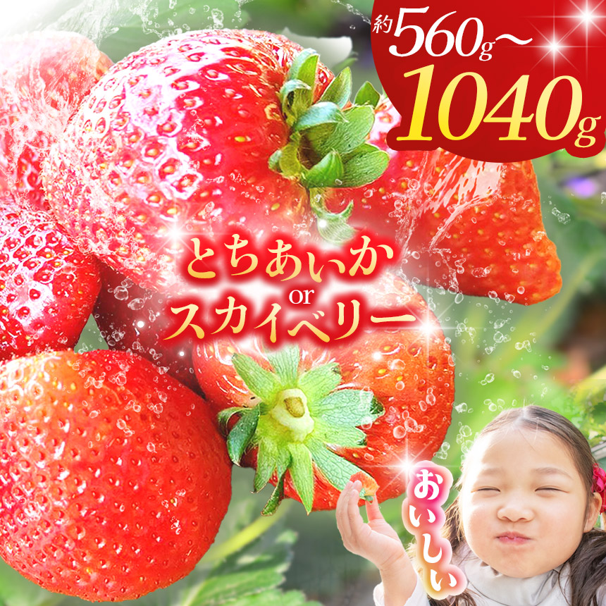 楽天市場】【送料無料】完熟とちあいかバラ詰め 650g＊数量限定