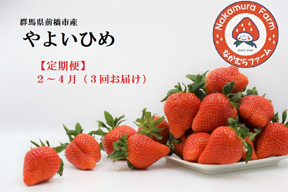 【ふるさと納税】《2026先行予約》【定期便／３ヵ月連続お届け】群馬県前橋市産いちご　『やよいひめ』　約800g×3回（総量2.4Kg)【2025年群馬県いちご品評会入賞！】