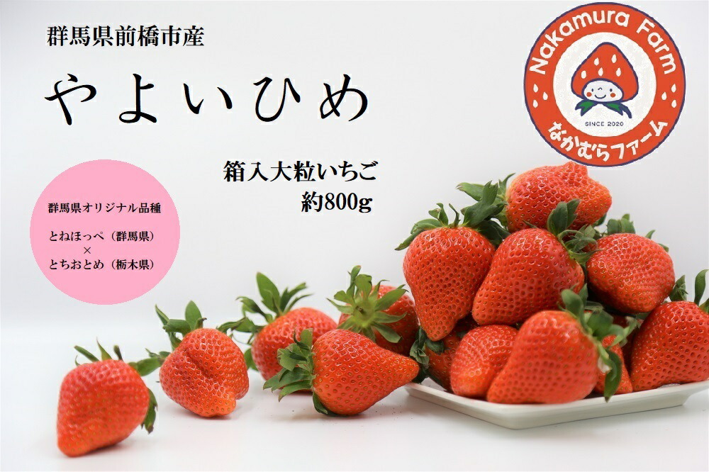 【ふるさと納税】いちご『やよいひめ』約800g【2025年群馬県いちご品評会入賞！】