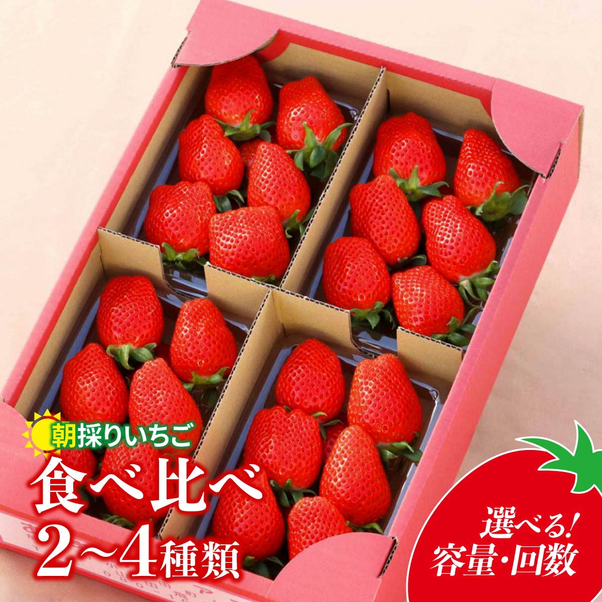 【ふるさと納税】 いちご 2種/4種 食べ比べ 【800g/1120g/4ヵ月定期便】 1回分 定期便 2027年 先行予約 | イチゴ 苺 高品質 新鮮 完熟 旬 ストロベリー 高級 人気 プレゼント 朝採れ やよいひめ ななか 恋みのり あまおとめ 贈答用 群馬県 前橋市|群馬県前橋市