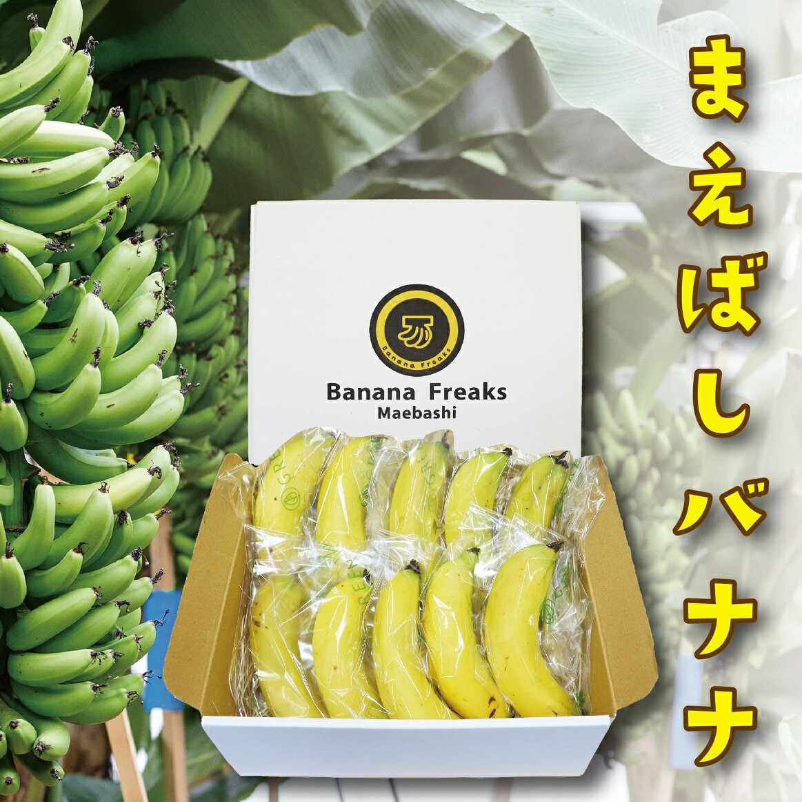 【ふるさと納税】R6-33　前橋産バナナ1.2kg入り