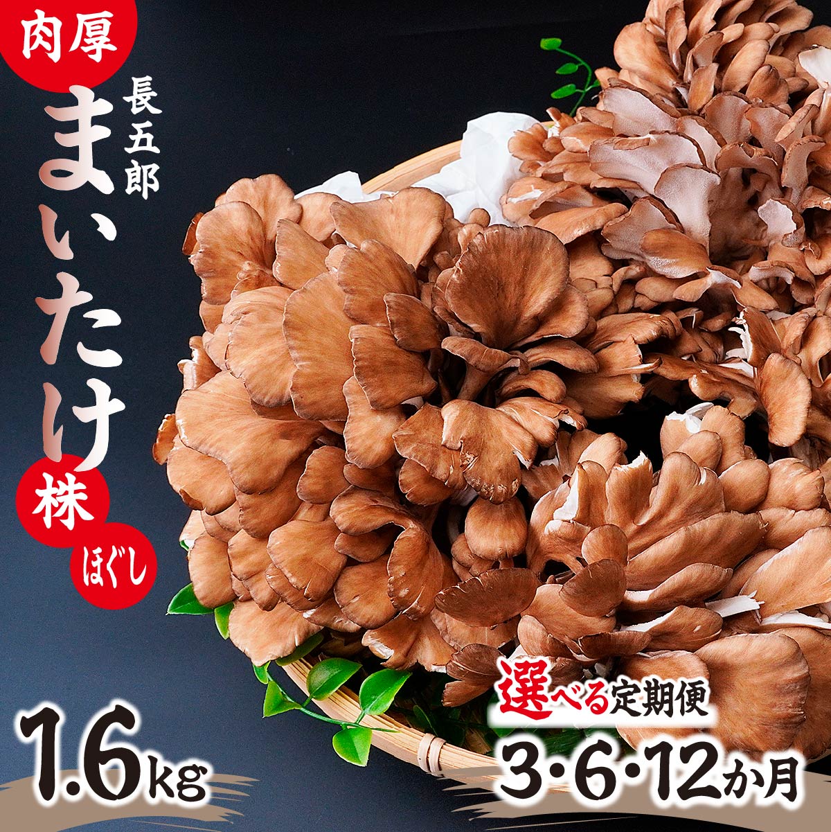 【ふるさと納税】まいたけ 長五郎 まいたけ かぶ500g×2個 ほぐし300g×2袋 合計1600g 選べる定期便|炊き込みご飯 きのこご飯 舞茸ご飯 天ぷら 舞茸 まいたけ きのこ 野菜 丸ごと 国産 無農薬 安全 安心 食物繊維 健康 カロリー 低い 産地直送 プレゼント ギフト 贈り物|群馬県前橋市