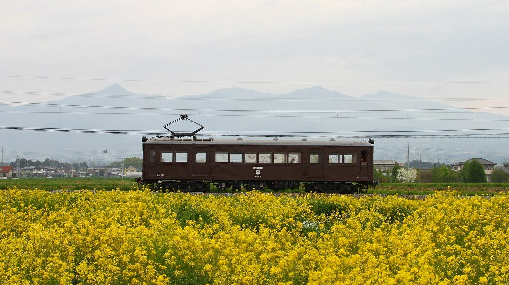 【ふるさと納税】N-05上毛電鉄の特別な電車「デハ101」の貸切り