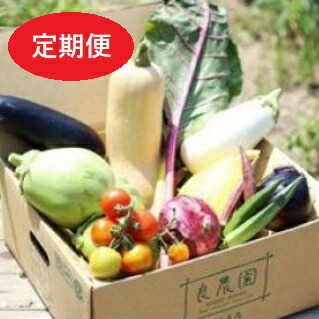 【ふるさと納税】 D-04　採れたて！良農園のおいしい野菜の定期便【年６回：偶数月配送】｜新鮮 朝どれ 農家直送 旬 野菜 野菜ソムリエ イタリア野菜 新種野菜 珍しい 西洋野菜