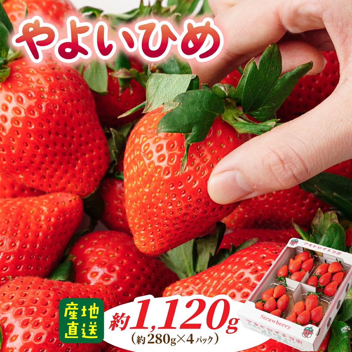 【ふるさと納税】家庭用いちご やよいひめ 約280g×４パック（箱入り） 合計1120g｜ 朝採れ やみつき高品質 たっぷり 贈答用 新鮮 完熟 いちご 旬 苺 ストロベリー 高級 産地直送 果汁 甘い あまい 人気 高評価 高糖度 ごほうび プレゼント 群馬県 前橋市