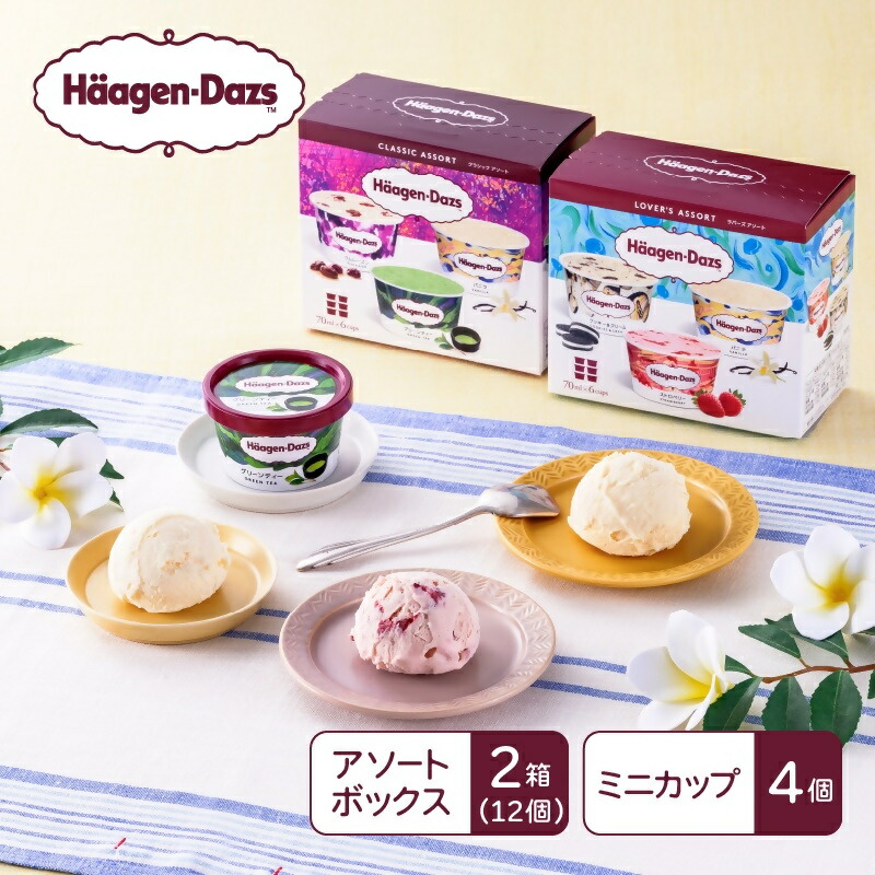 【ふるさと納税】ハーゲンダッツ　マルチパックセット／アイス　ミニカップ　アソート　ラバーズアソート　クラシックアソート