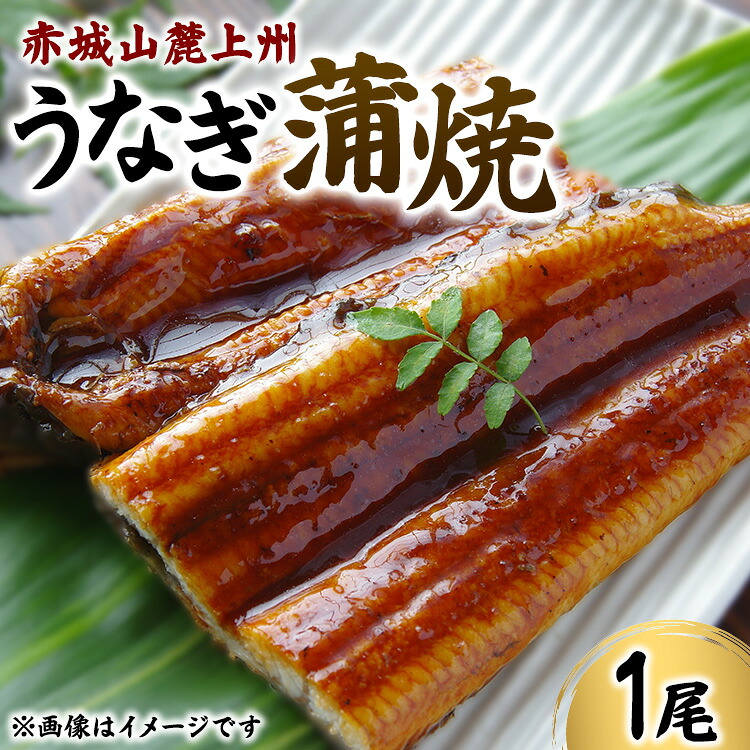 【ふるさと納税】赤城山麓上州うなぎ　蒲焼　１尾　（150ｇ以上）
