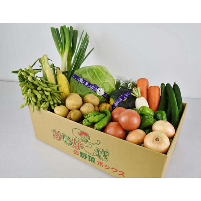 【ふるさと納税】伊勢崎産＜採れたて！店長厳選！＞新鮮野菜詰合せ