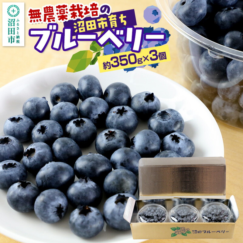 【ふるさと納税】《8月上旬～8月中旬発送》無農薬栽培のブルーベリー 約350g×3個 ベリーガーデン