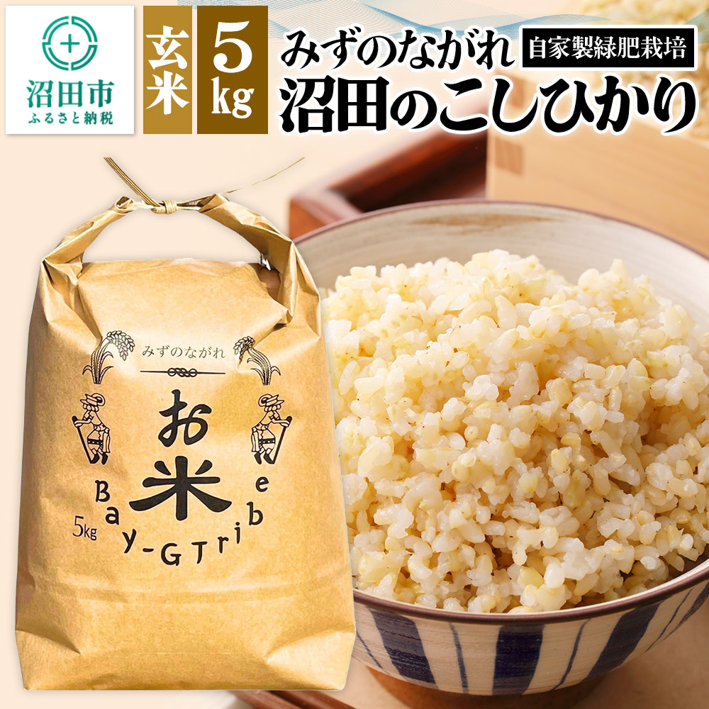 【ふるさと納税】令和7年産 新米予約 沼田のこしひかり「みずのながれ」玄米 5kg