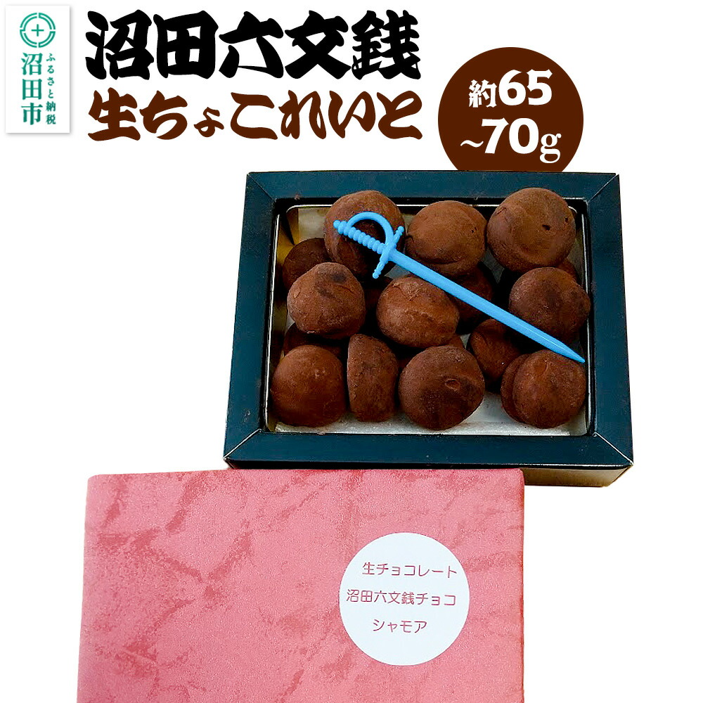【ふるさと納税】生チョコレート「沼田六文銭チョコ」約65～70g