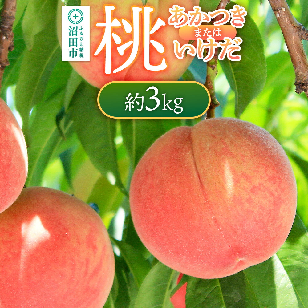 【ふるさと納税】《7月下旬～8月中旬にお届け》 桃「あかつき」または「いけだ」約3kg フルーツ王国松井 [夏の味覚 夏の果物 夏のフルーツ 桃 もも モモ momo 旬物 ぴーち ピーチ peach お任せ おまかせ セット]｜群馬県沼田市 17,520円