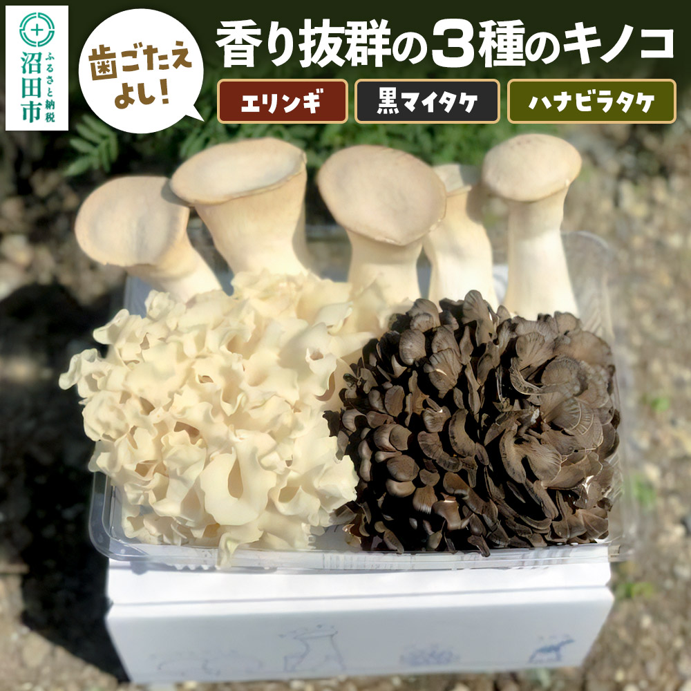【ふるさと納税】歯ごたえよし！香り抜群の3種のきのこ（エリンギ、黒舞茸、ハナビラタケ）の詰め合わせ [【野菜セット】舞茸 まいたけ マイタケ えりんぎ エリンギ 贈答 ギフト キノコ 群馬県 沼田市]｜群馬県沼田市