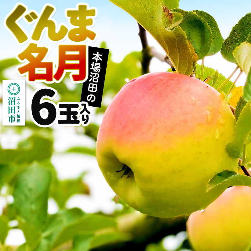 【ふるさと納税】《11月中旬以降発送》先行予約 果実の里 原田農園 ぐんま名月 1箱 6玉入り