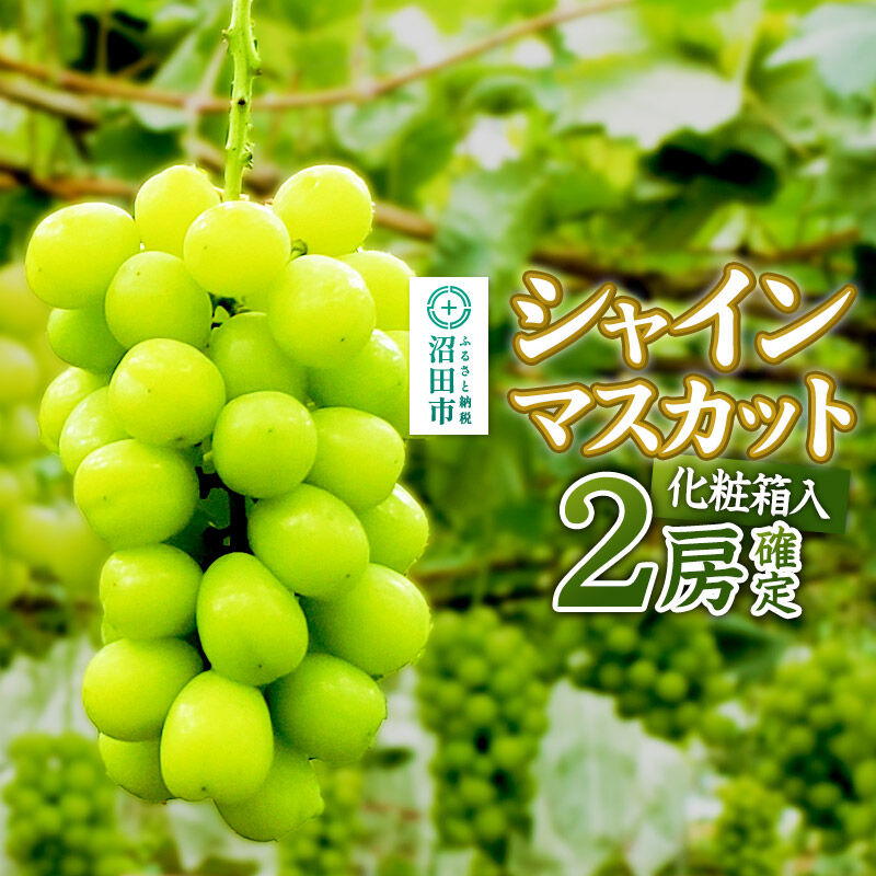 【ふるさと納税】《2026年9月下旬～10月上旬発送》先行予約 果実の里 原田農園 シャインマスカット 2房（計約1.0kg～1.4kg）化粧箱入り [葡萄 ぶどう ブドウ しゃいんますかっと]｜群馬県沼田市 17,000円
