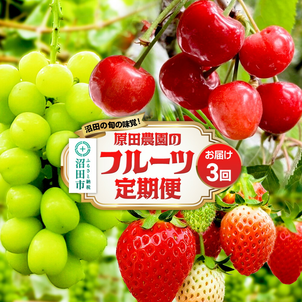 50s オリーブグリーン チェック柄 スラックス