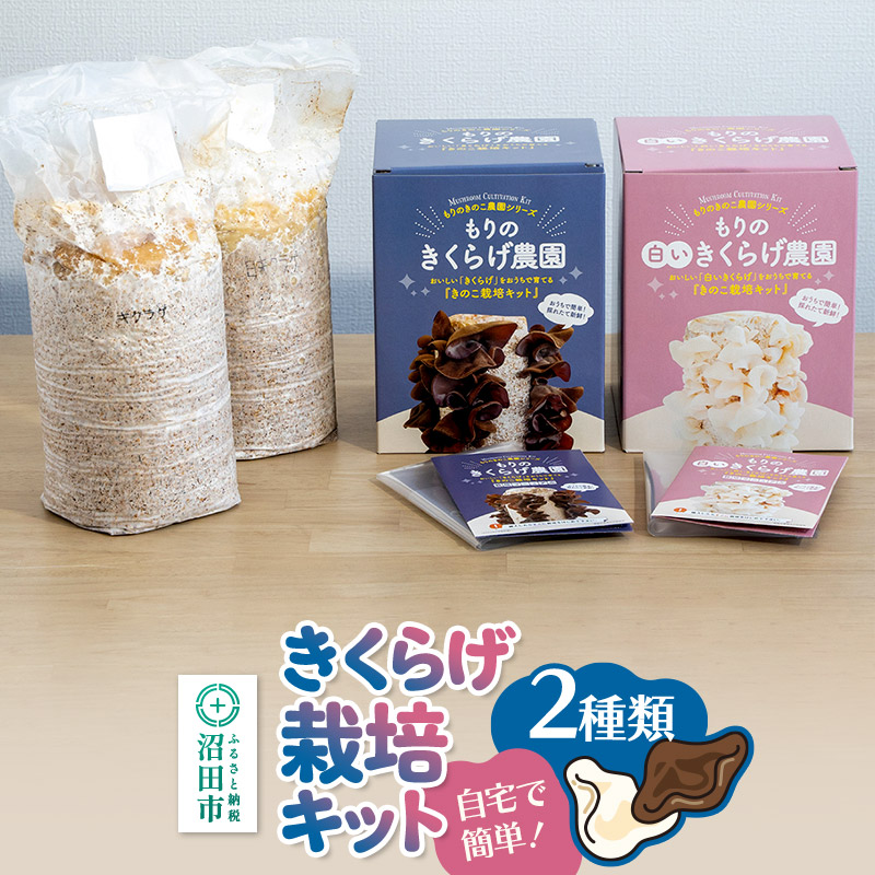 【ふるさと納税】《夏季限定》きくらげ栽培キット 2種類セット もりのきくらげ農園／白いきくらげ農園 [木耳 きくらげ キクラゲ]