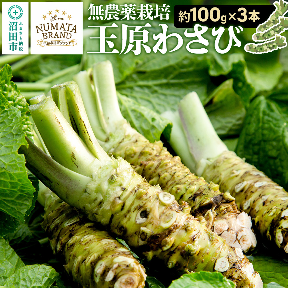 【ふるさと納税】ぬまたブランド農産物 玉原わさび 生ワサビ 3本 宮田農園
