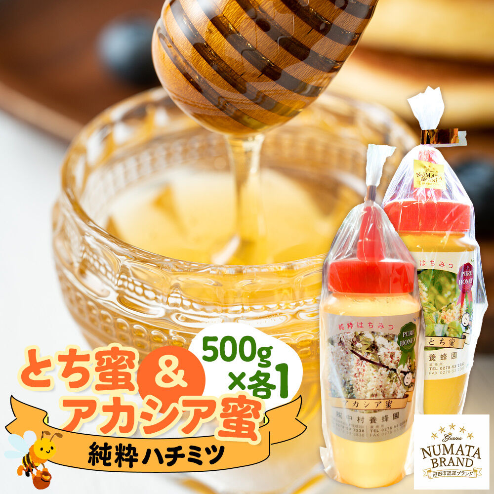 【ふるさと納税】尾瀬のとち蜜＆沼田市産アカシア蜜 詰め合わせ500g×各1本 計1kg 中村養蜂園