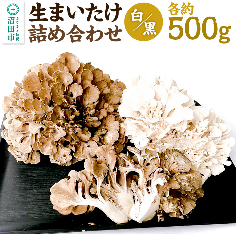 【ふるさと納税】まいたけ（白・黒）詰め合わせ 各約500g