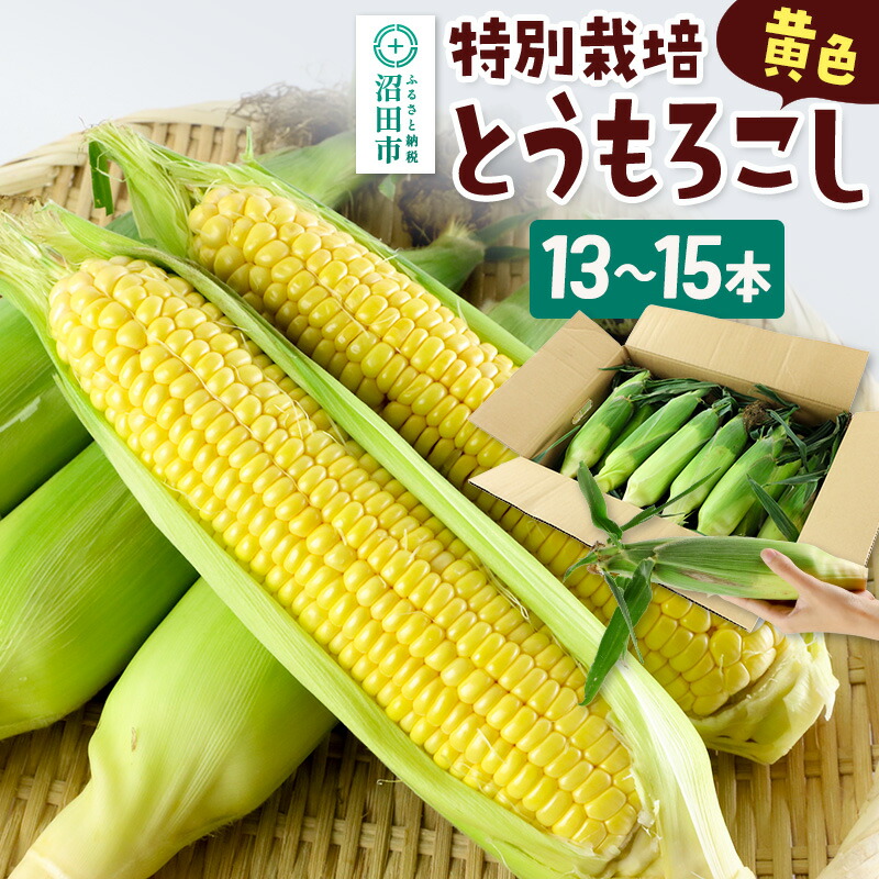 【ふるさと納税】《7月下旬～9月中旬発送》沼田市産 特別栽培のとうもろこし 13～15本 黄色 ゴールドラッシュ